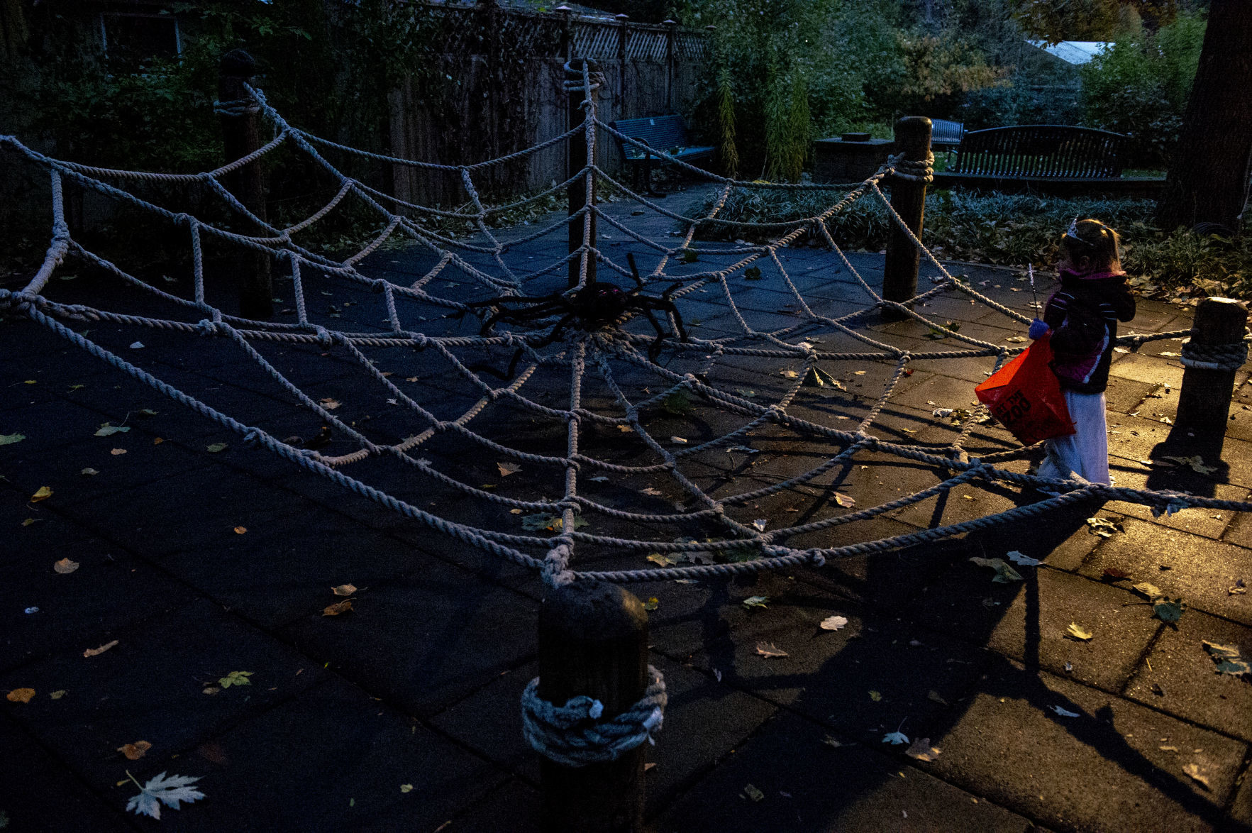 Boo at the Zoo, 10.29